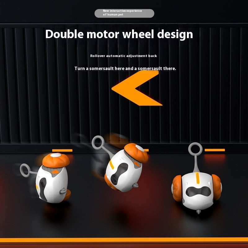 Cat Teaser Remote