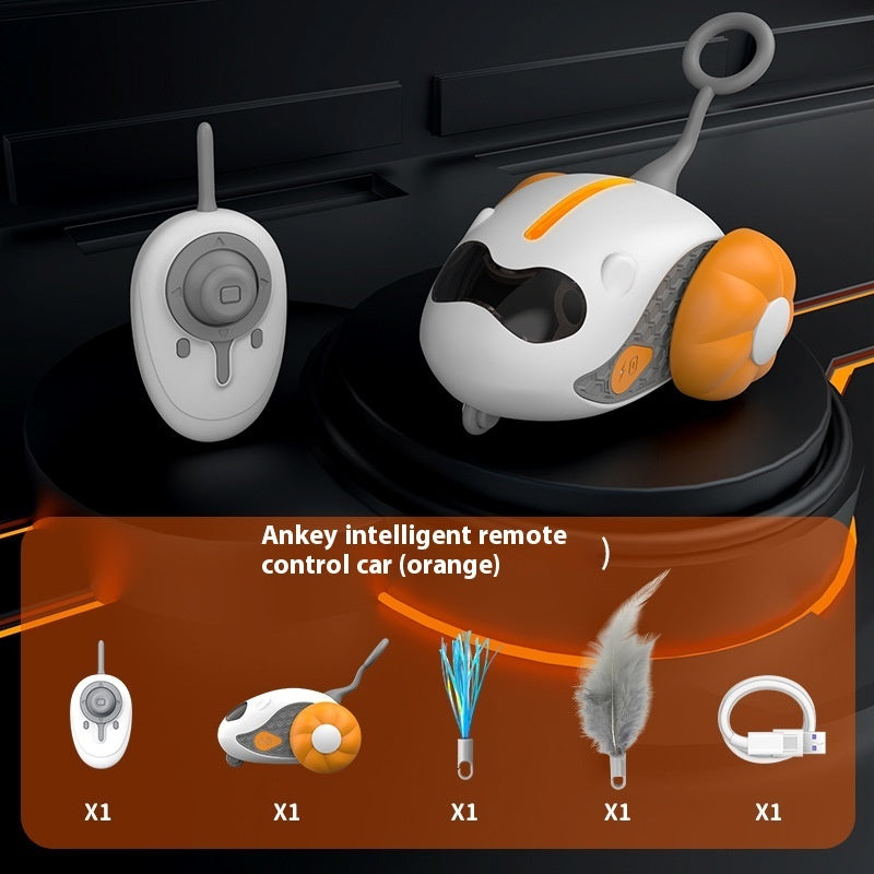 Cat Teaser Remote