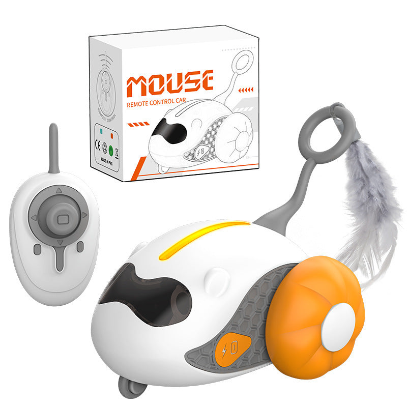 Cat Teaser Remote