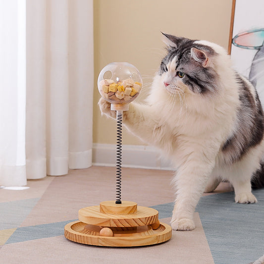 Cat Treats Dispenser  Cat Toy Cat Nips Spring Toy