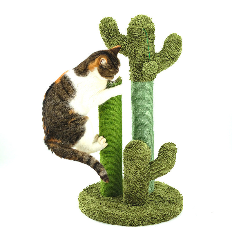 Cats Scratchier Cactus Tree
