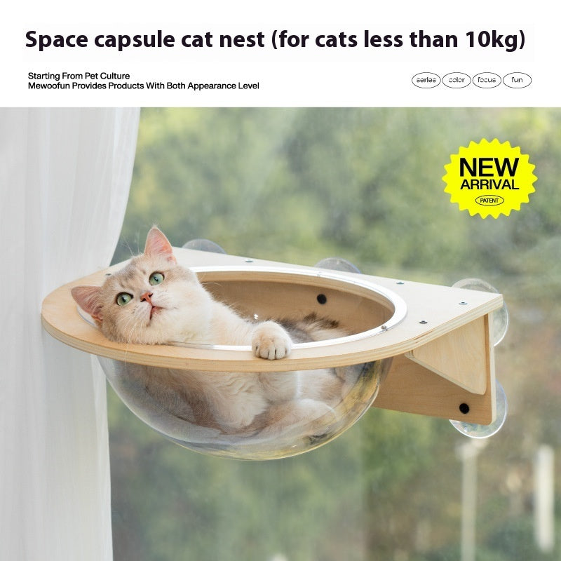 Glass Wall Stand For Cats