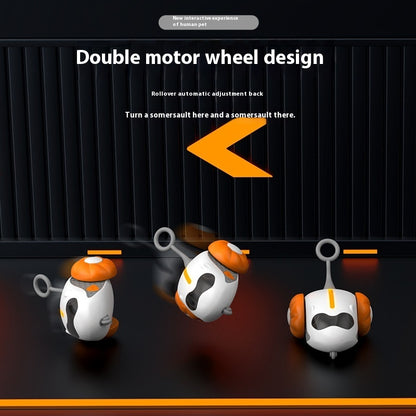 Cat Teaser Remote