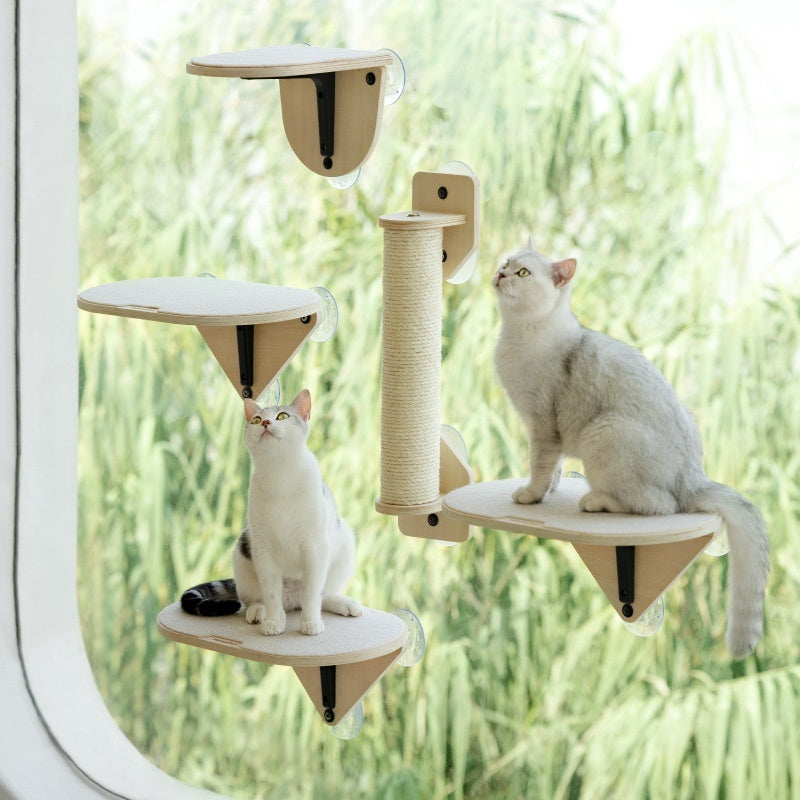 Glass Wall Stand For Cats