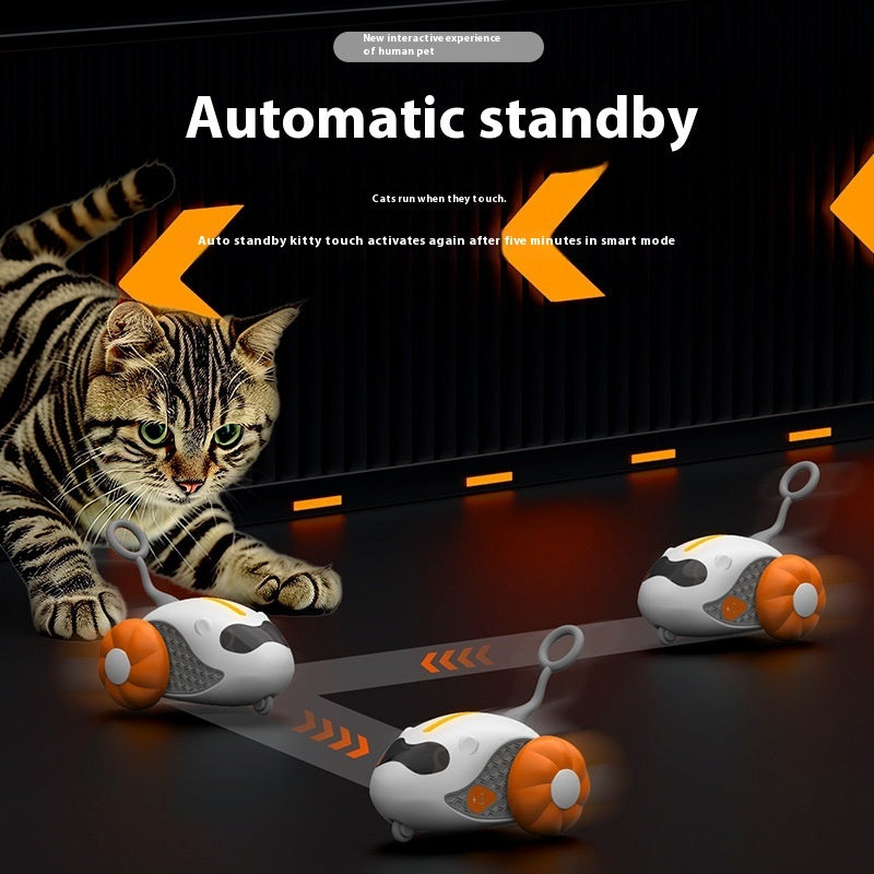 Cat Teaser Remote