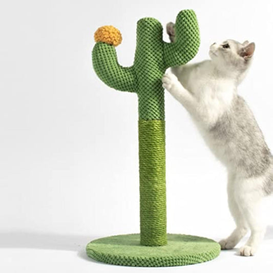 Cat Cactus Scratcher