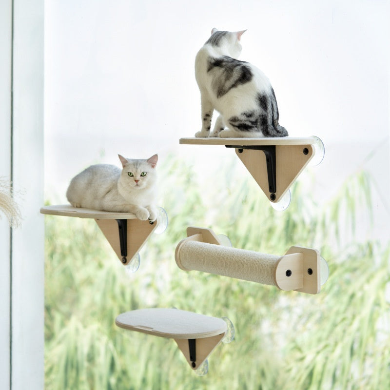 Glass Wall Stand For Cats