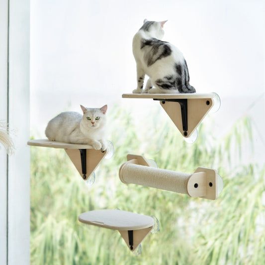 Glass Wall Stand For Cats